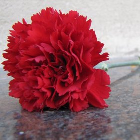 График работы 9 мая. График работы 9 мая.